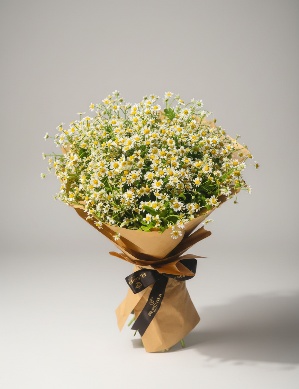 Chamomile Bouquet