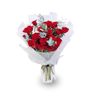 25 red rose