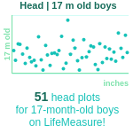 17-month-old-toddlers-head-boys-chart