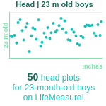 23-month-old-toddlers-head-boys-chart