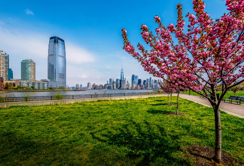 Jersey City Parks and Recreation