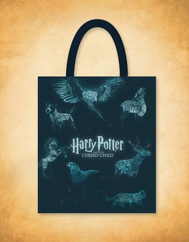 Harry Potter and the Cursed Child  Official Broadway Merchandise Store