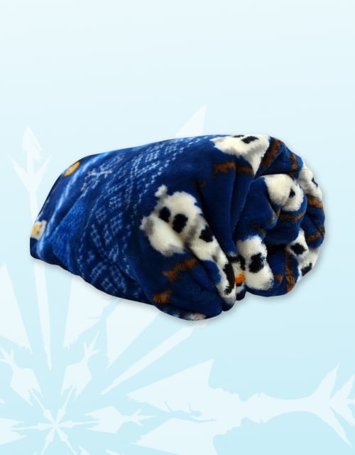 FROZEN Fleece Blanket