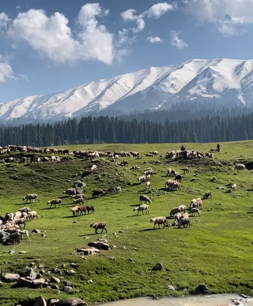 Kashmir – A Journey Through Paradise moment 1