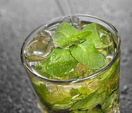 Mint Julep