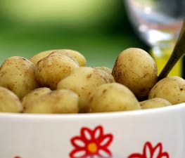 Koka potatis