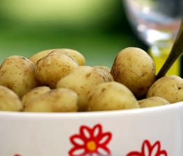 Kokt potatis - grundrecept