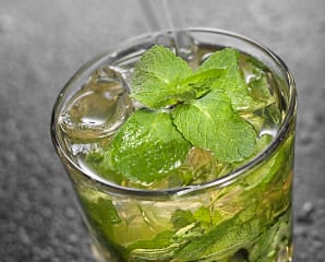 Mint Julep