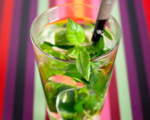 Hot Fresh Mint (alkoholfri)