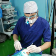 Dr Allouane Mohamed Amine, Ear, nose & throat doctor (ENT), Casablanca