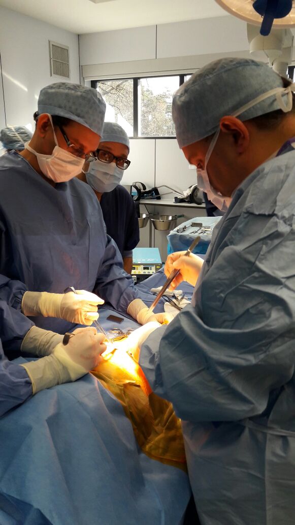 دكتور بدر الدين واكريم