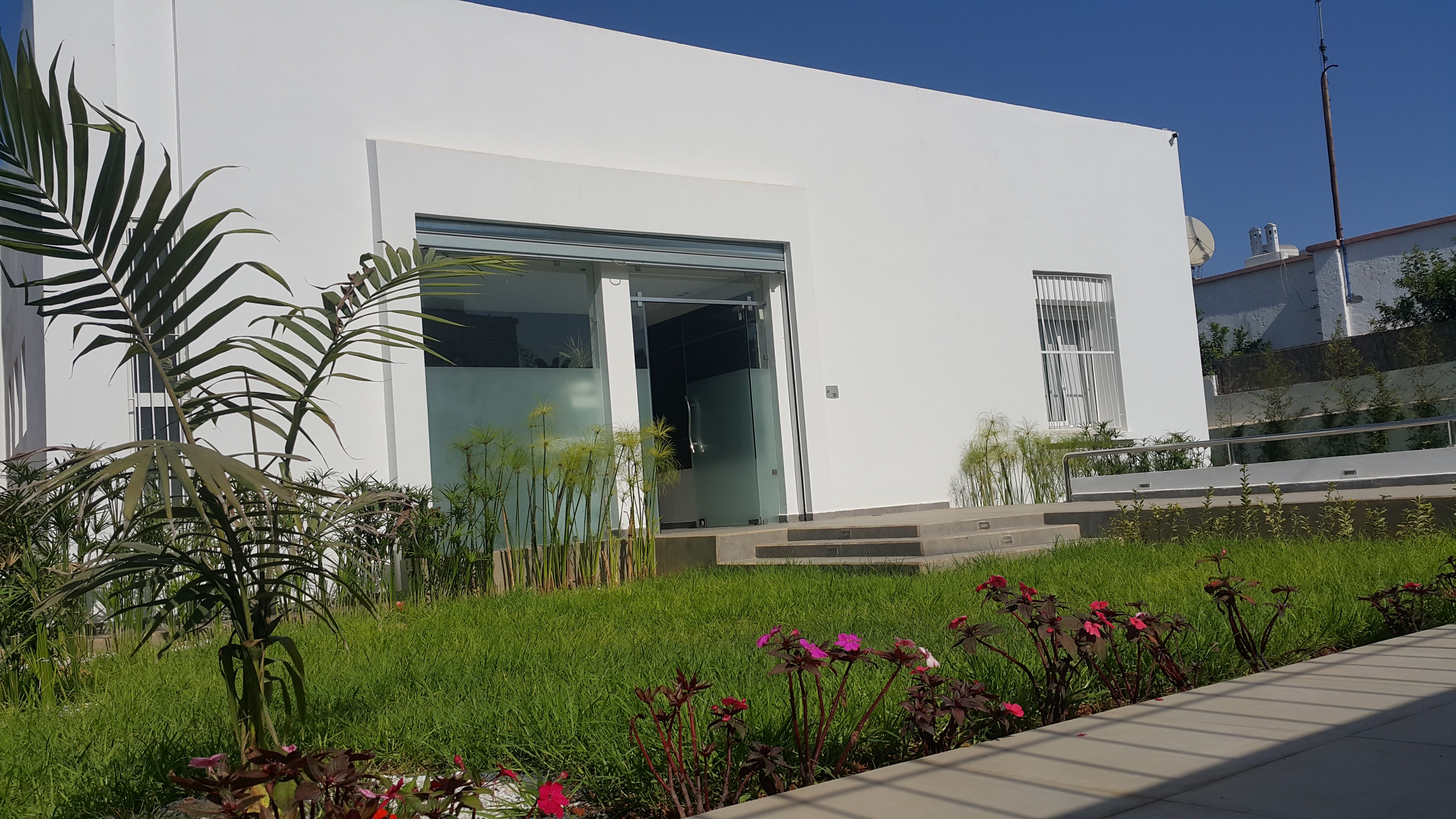 دكتورة هند تمسماني