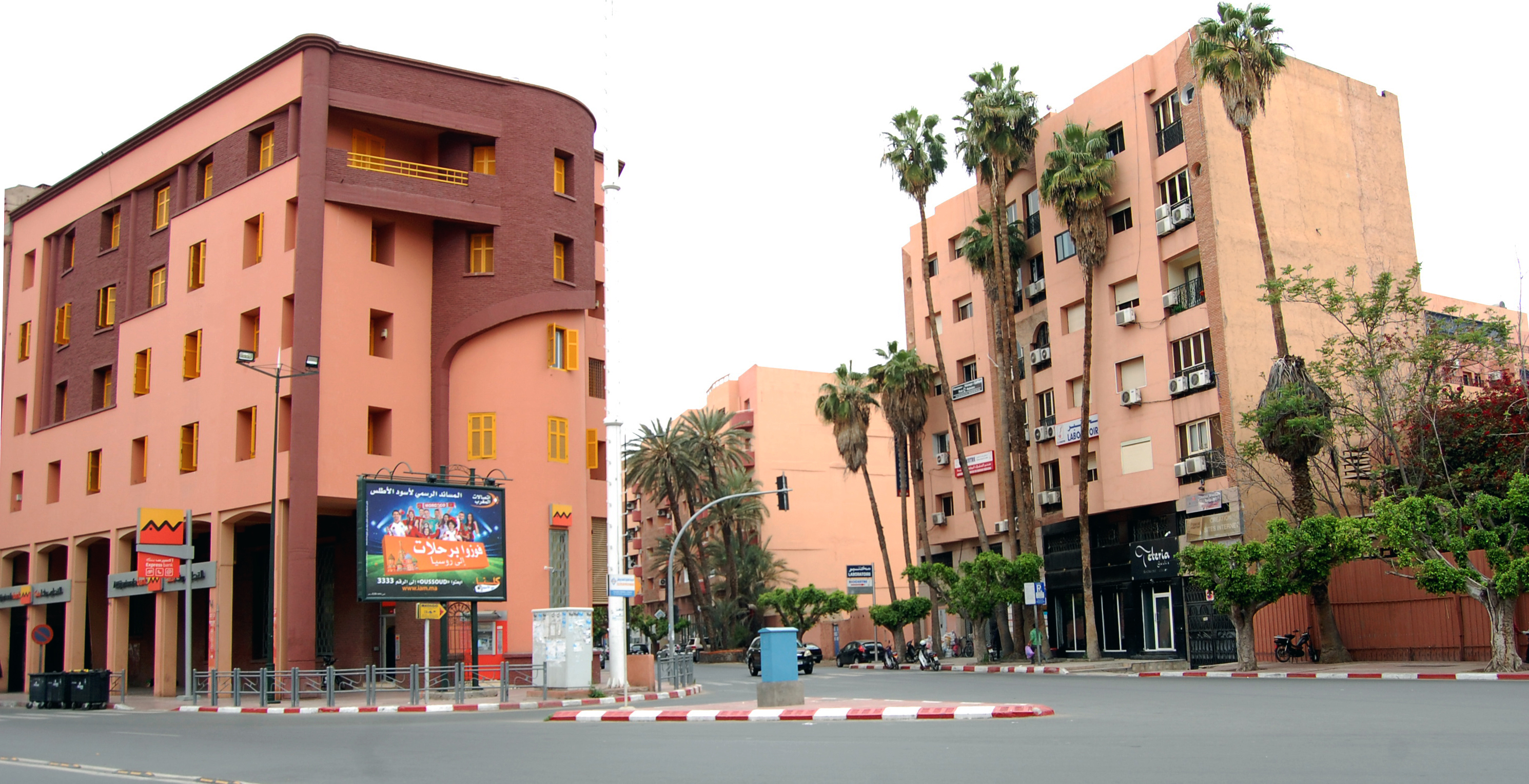 دكتورة إيمان ولكي