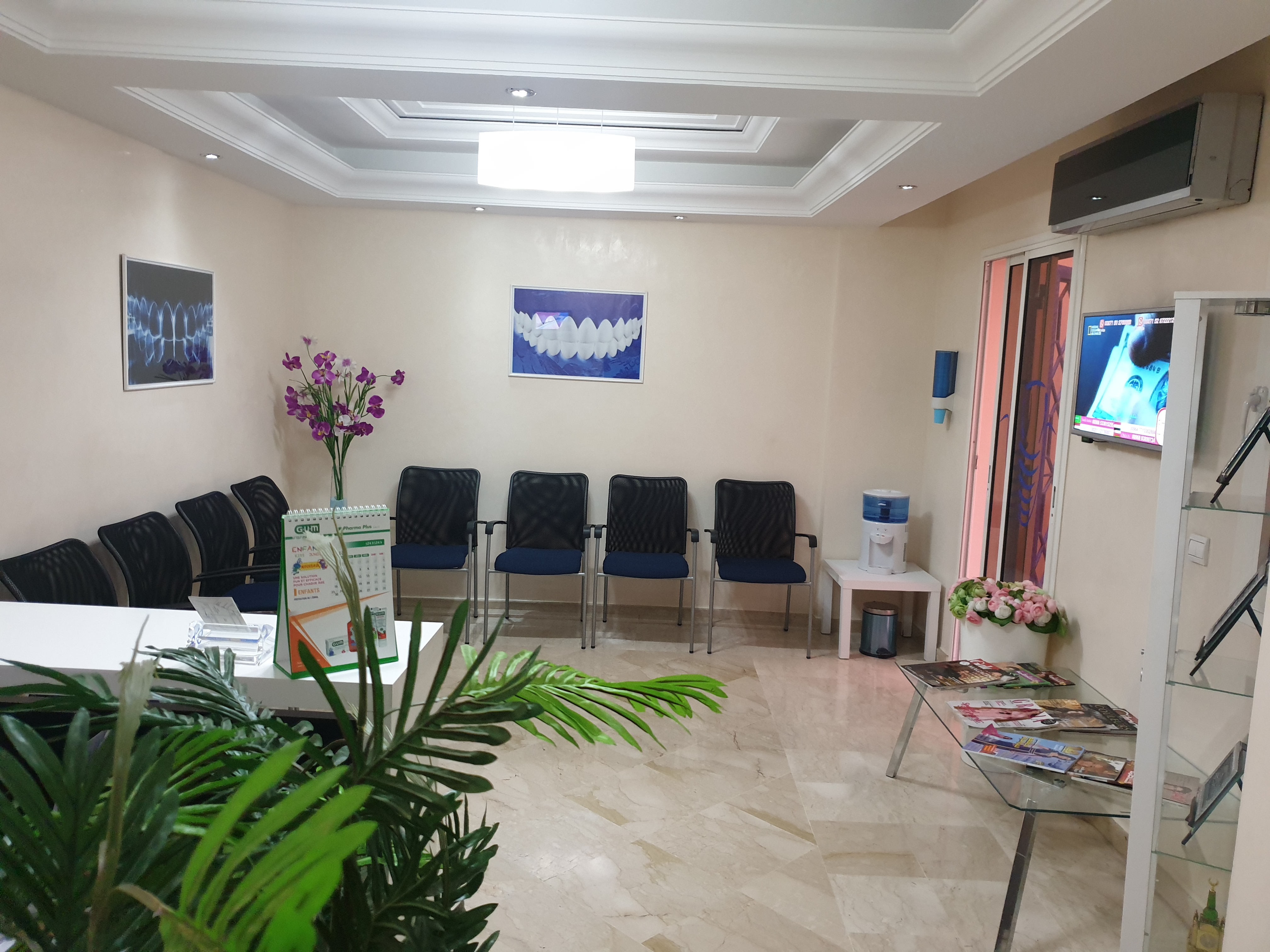 دكتور ربيع إكسرغيد