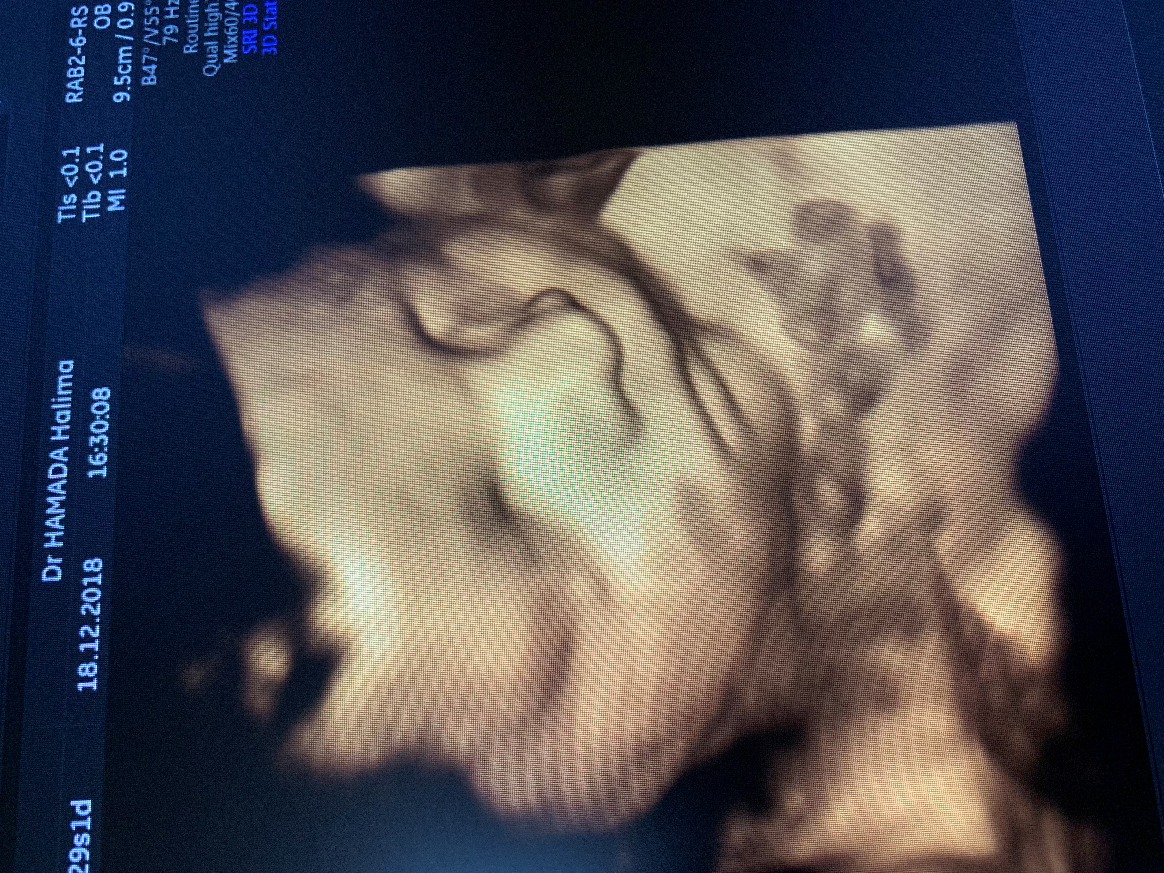 دكتورة حليمة حمادة