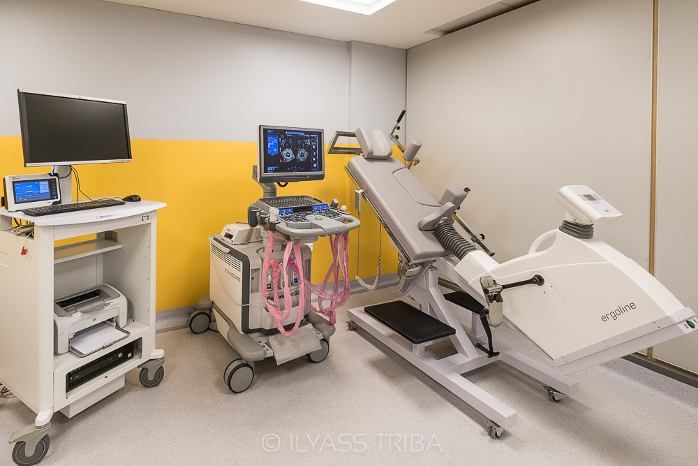 بروفيسور محمد زوبيدي