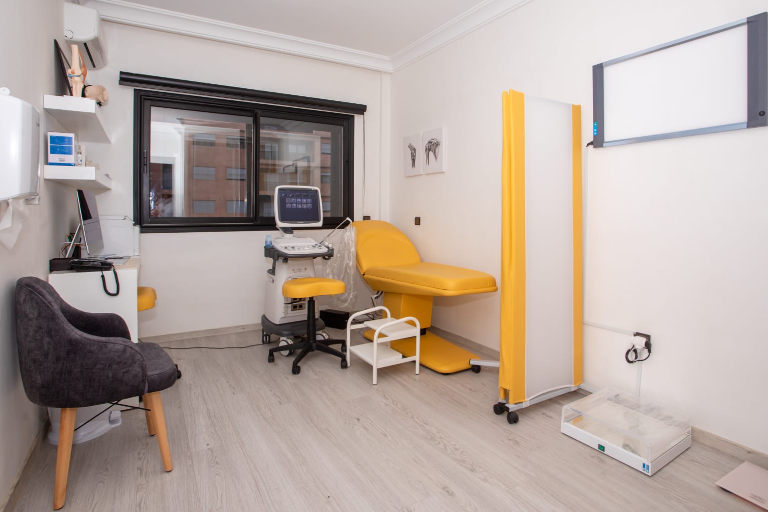 بروفيسور حليم السعدي