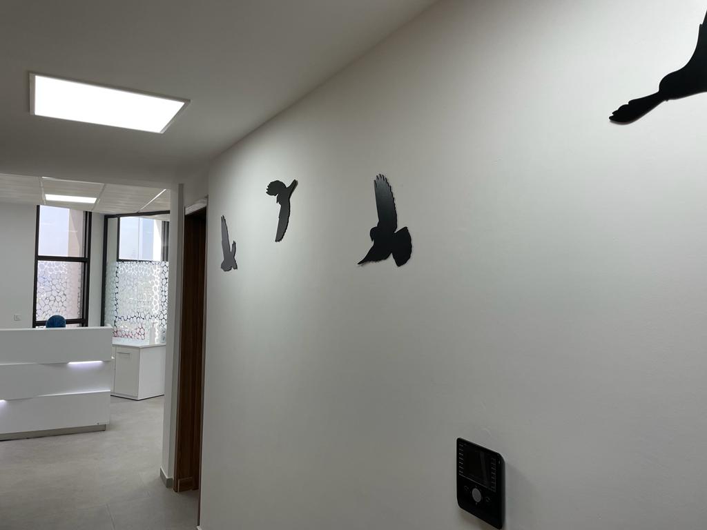 بروفيسور محمد فوزي المريني