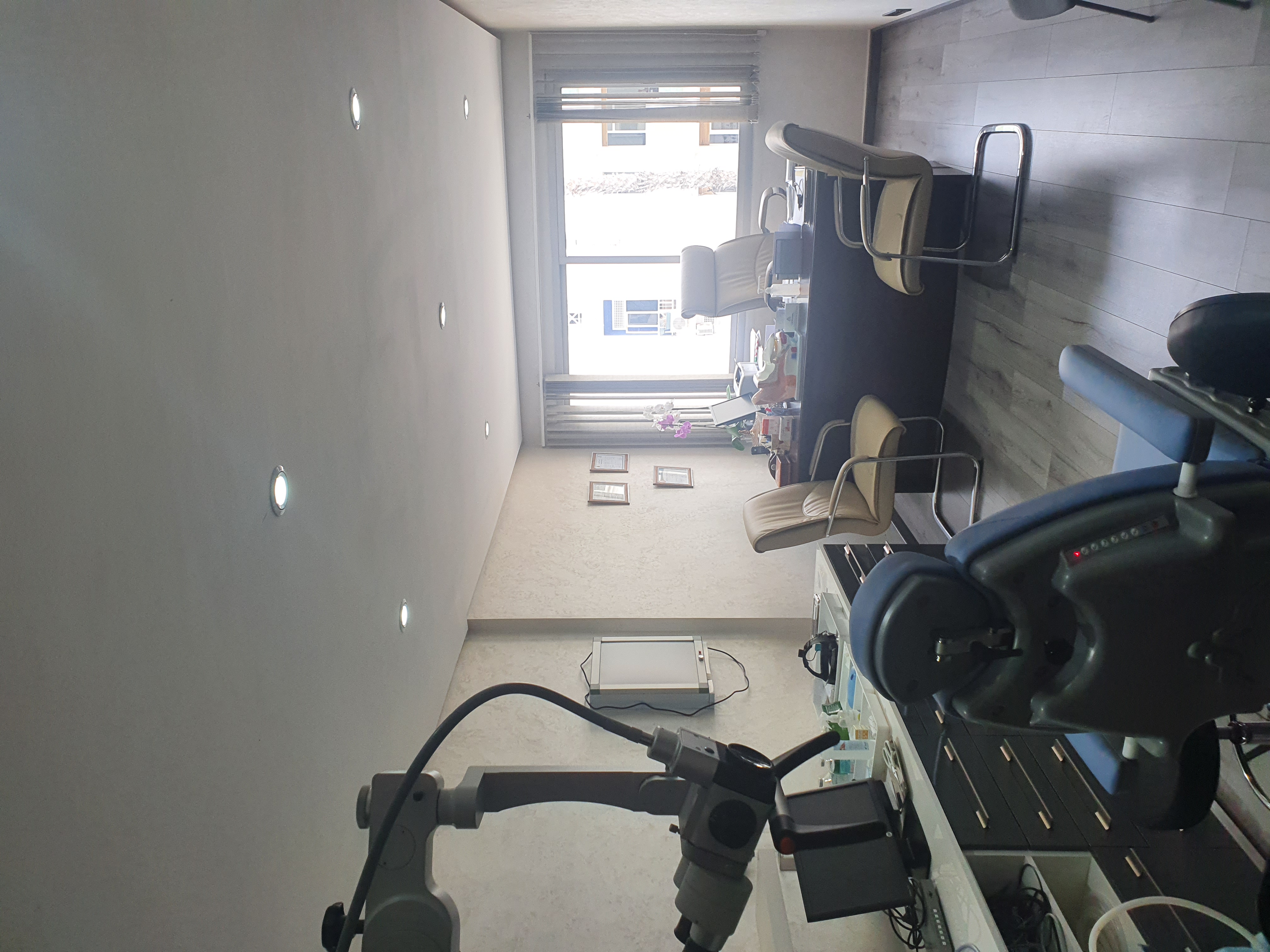 بروفيسور صوفيا نطاسي