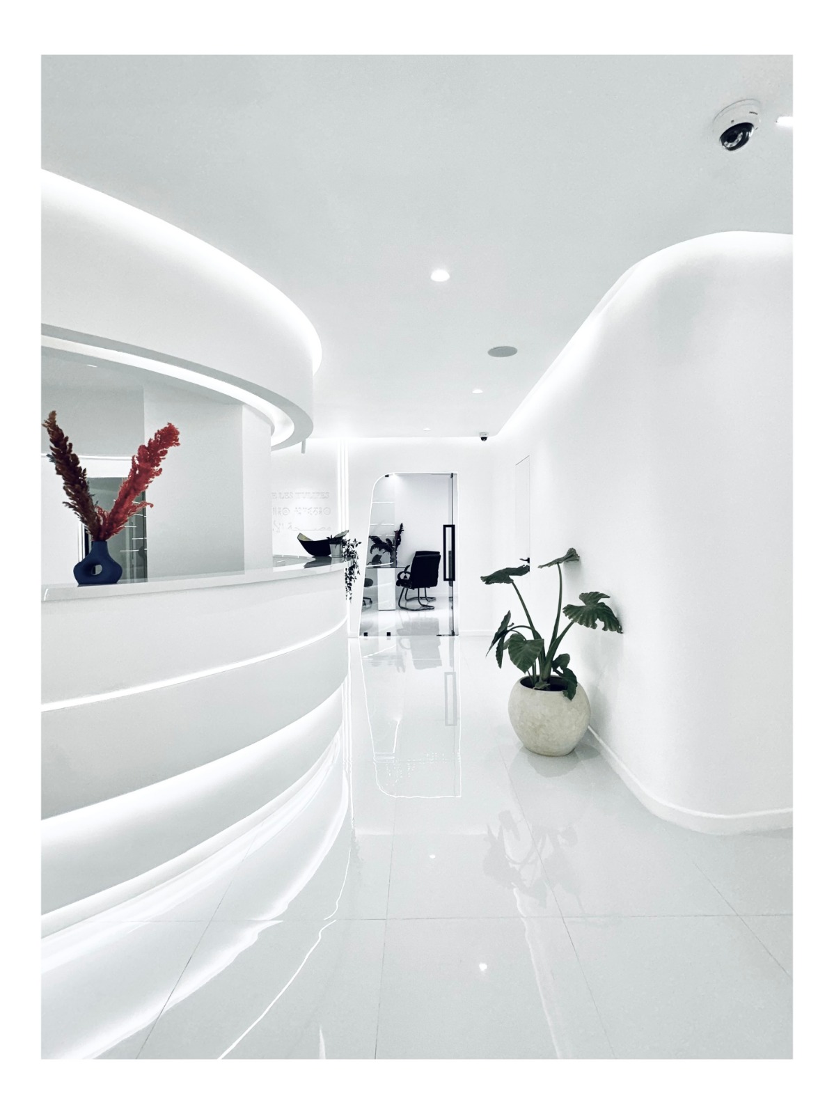  Clinique Dentaire Les Tulipes 