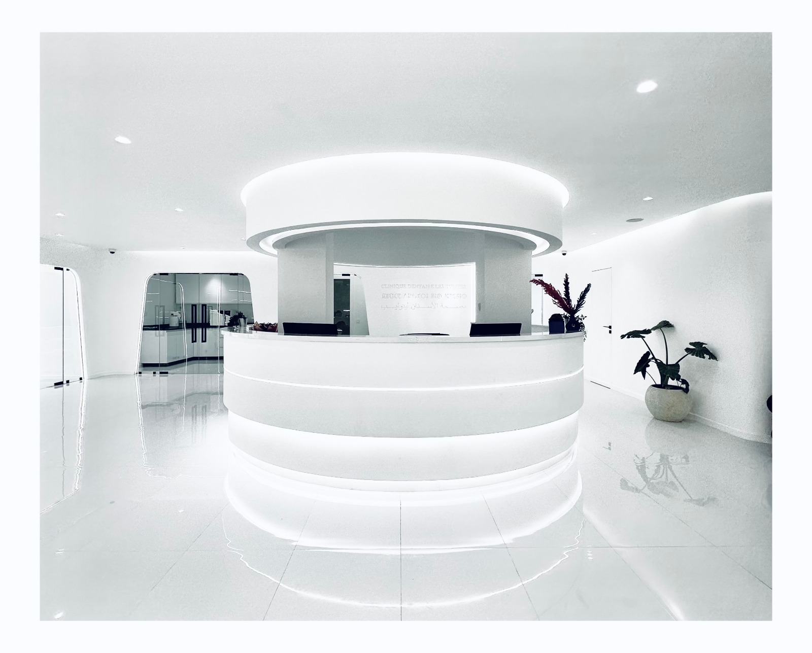  Clinique Dentaire Les Tulipes 