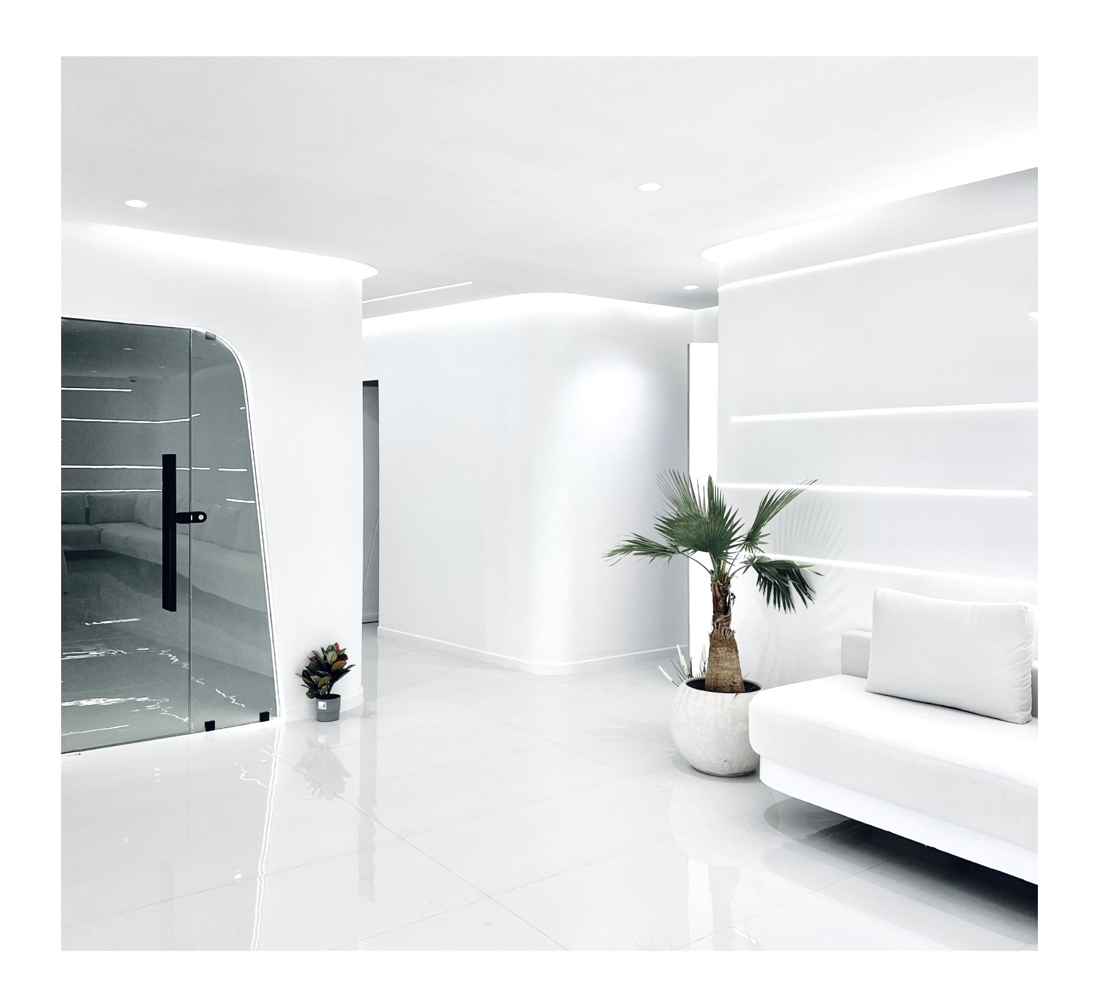  Clinique Dentaire Les Tulipes 