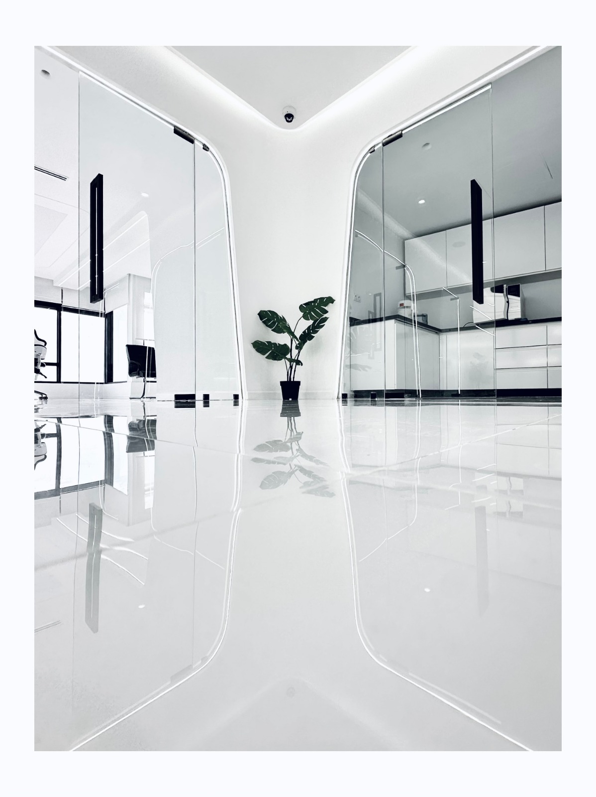  Clinique Dentaire Les Tulipes 