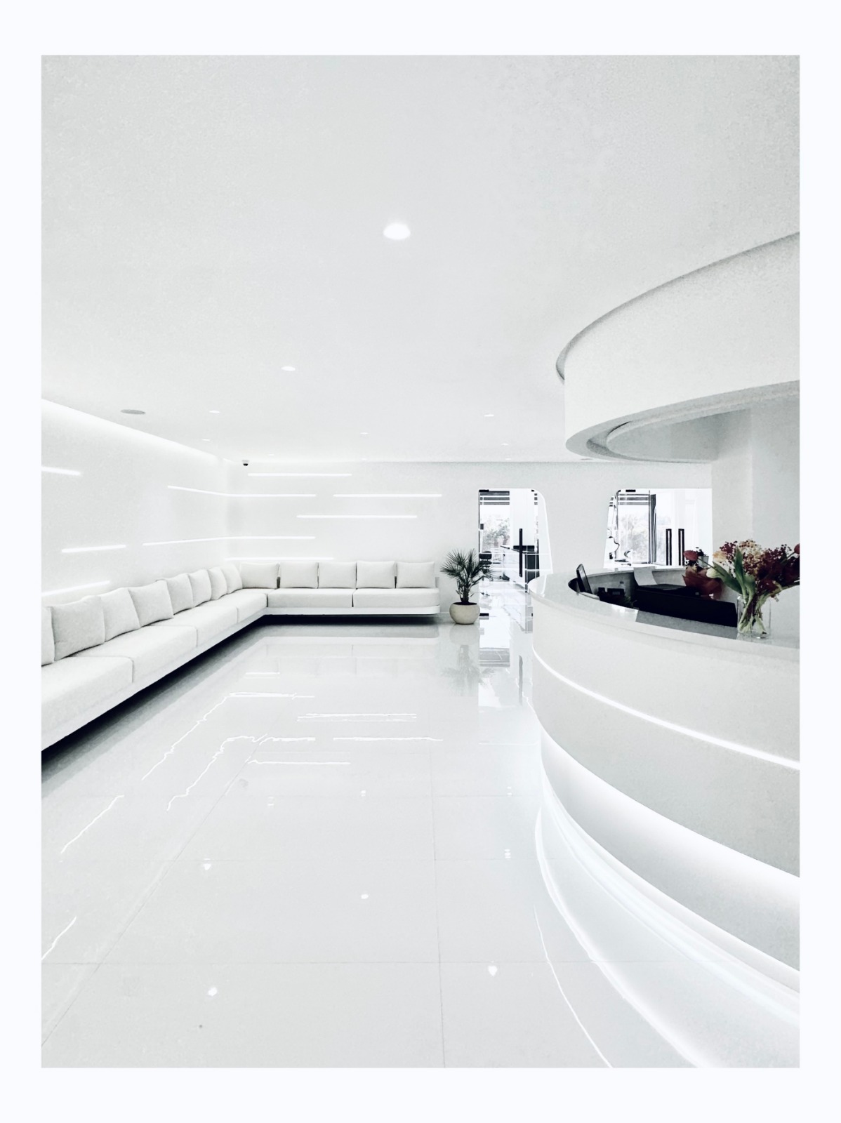  Clinique Dentaire Les Tulipes 