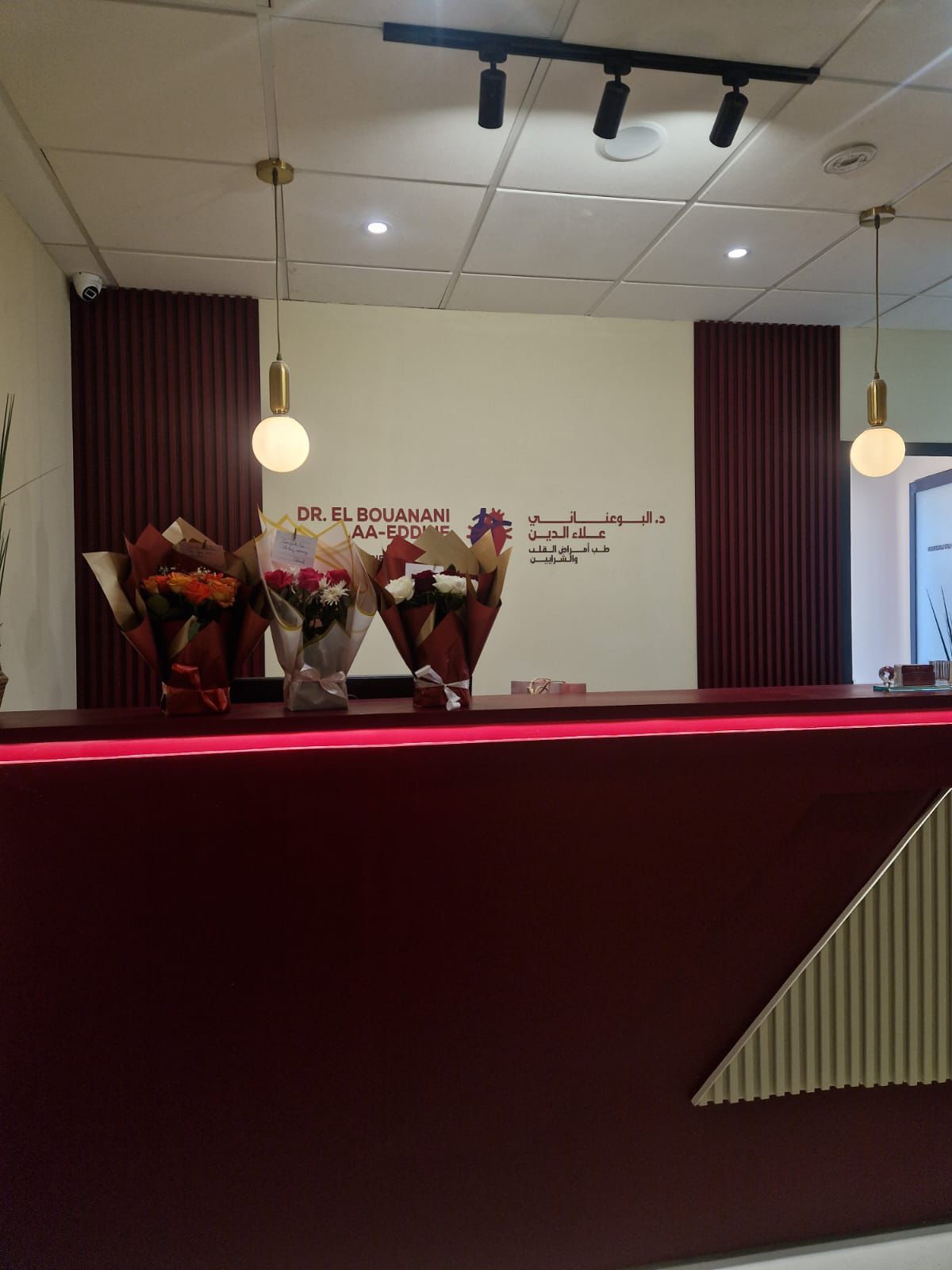 Dr Alaa Eddine El Bouanani