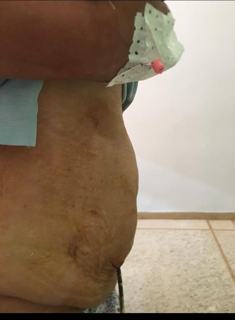 بروفيسور بناصر الفينش