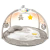CHICCO Enjoy Colours Playgym Neutral