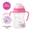 Disney Aurora Sippy Cup