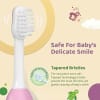 Oral Care: Toothbrush 6-36m Pink