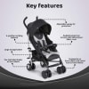 Stroller: Echo w bumper bar-Stone