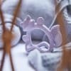B.BOX Wrist Teether - Peony Fox
