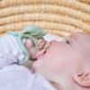 B.BOX Wrist Teether - Sage Fox