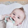 B.BOX Wrist Teether - Sage Fox
