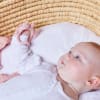 B.BOX Wrist Teether - Blush Fox