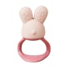 B.BOX Chill + Fill Teether - Blush