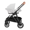 Stroller: Corso Studio