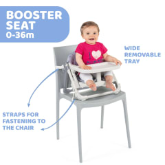 Booster Seat: Chairy Bunny