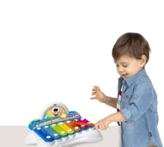 Flashy the Xylophone Musical Toy