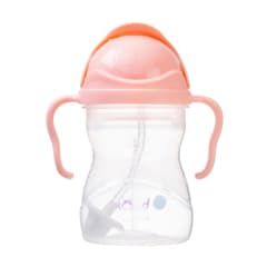 BC Sippy Cup V2 Tutti Frutti