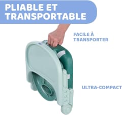 CHICCO Booster Seat: Pocket Snack - Sage