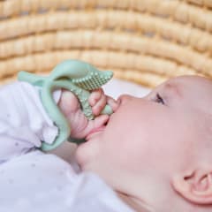 B.BOX Wrist Teether - Sage Fox