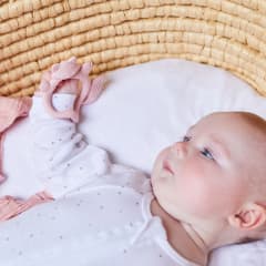 B.BOX Wrist Teether - Blush Fox