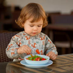 Nylon Small Long Sleeve Bib Mr Fox