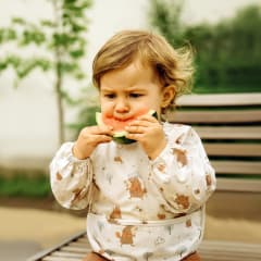 Nylon Small Long Sleeve Bib Mr Hedgehog