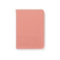 2026 Conscious A6 WTV ML Clay
