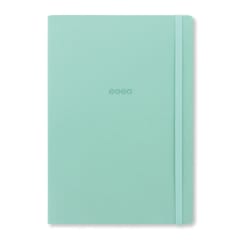 2026 Edge A5 WTV w/notes Duck Egg